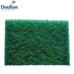 道爾頓英國(guó) 刷布 清洗濾芯專(zhuān)用凈水設(shè)備產(chǎn)品圖片1