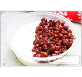 檸檬皇后 產品 產品介紹 最新產品信息