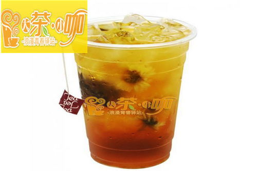 大茶小咖加盟 加盟費多少 加盟條件 盟招網