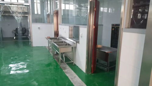 過年好 快來看看他們想說什么